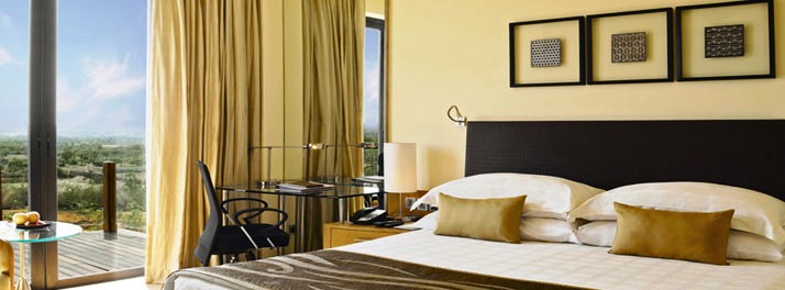 773/Hyatt Hyderabad Gachibowli - Hyderabad 10.jpg